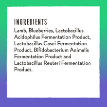 Load image into Gallery viewer, Charlee Bear Lamb & Blueberries Meaty Bites Freeze Dried Dog Treats, 2.5oz Bag