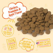 Load image into Gallery viewer, Charlee Bear Chicken, Pumpkin & Apple Crunch Dog Treat, 8oz Bag