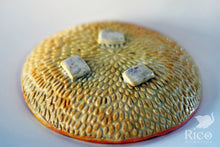 Load image into Gallery viewer, Kitty Dish, Craazy Catz Yellow & Orange