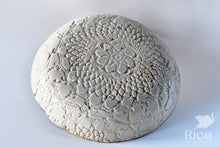 Load image into Gallery viewer, Kitty Dish, Critter